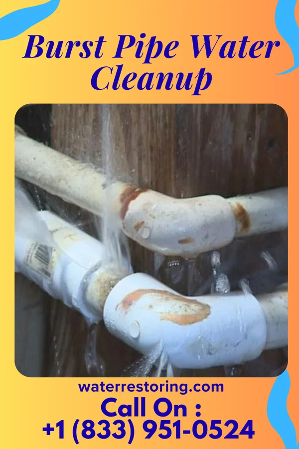 Burst Pipe Water Cleanup in Belle, MO